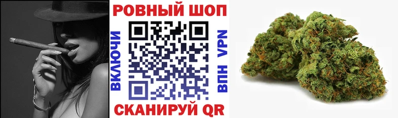 ГАШ Петушки