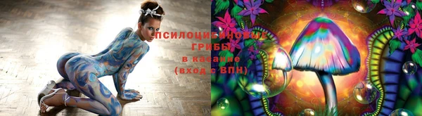 мескалин Михайлов