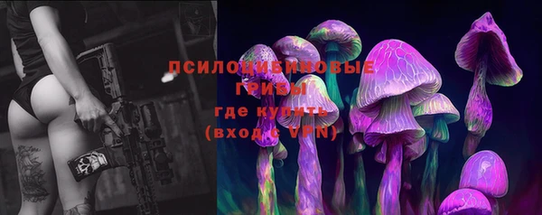 тгк Абдулино