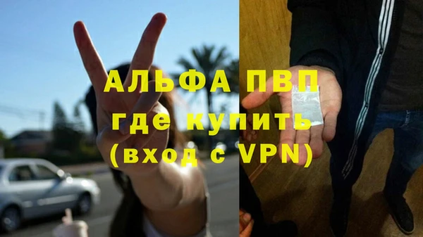 стафф Абинск