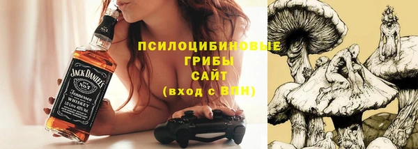 2c-b Алексин